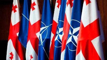 Кавказские маневры: как Грузия добивается вступления в НАТО
