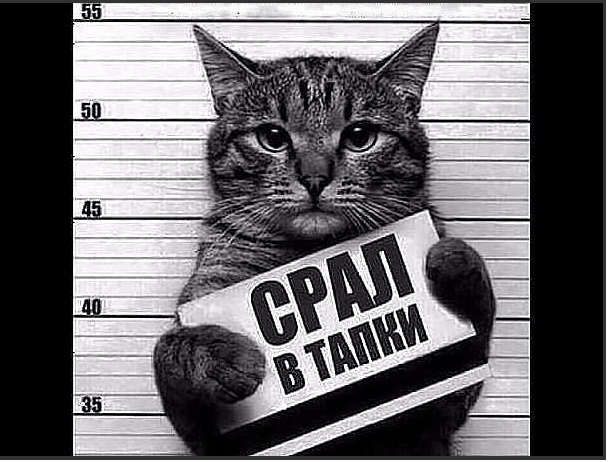 Саакашвили обвинил в своем аресте...Путина